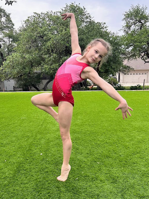 Mountain Leotard