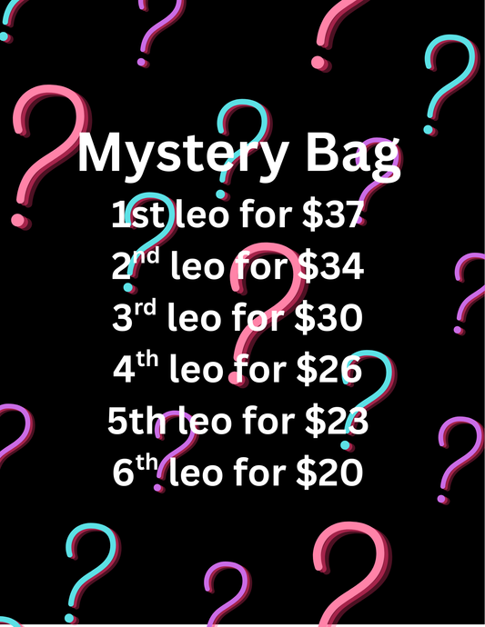 Mystery Labubu Bags